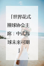 世界花式撞球协会主席：中式九球未来可期