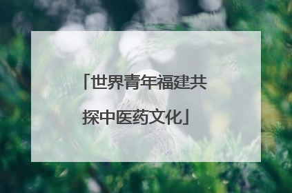 世界青年福建共探中医药文化