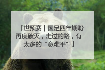 世预赛｜国足四年期盼再度破灭，走过的路，有太多的“意难平”