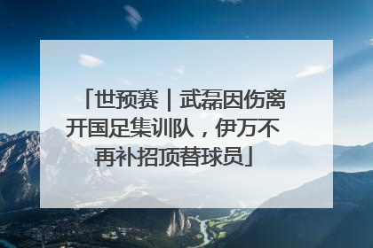 世预赛｜武磊因伤离开国足集训队，伊万不再补招顶替球员