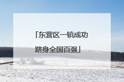 东营区一镇成功跻身全国百强