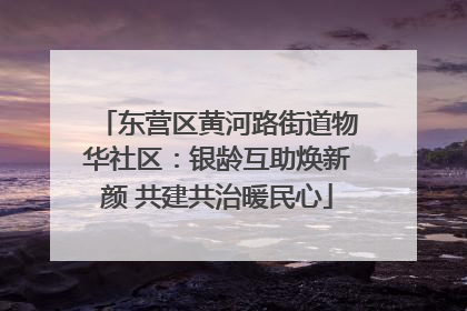 东营区黄河路街道物华社区：银龄互助焕新颜 共建共治暖民心
