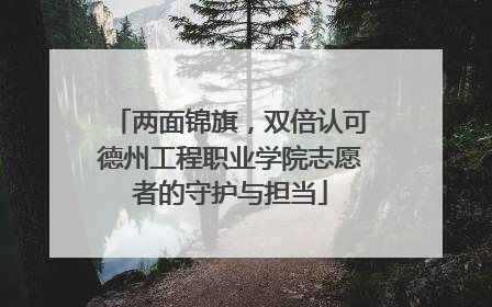 两面锦旗，双倍认可德州工程职业学院志愿者的守护与担当