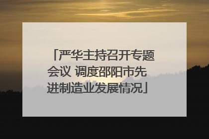 严华主持召开专题会议 调度邵阳市先进制造业发展情况