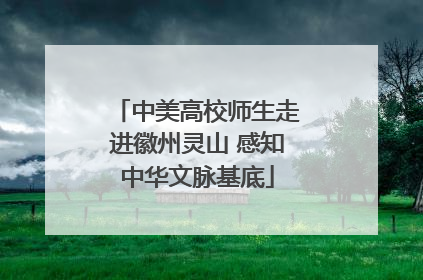 中美高校师生走进徽州灵山 感知中华文脉基底