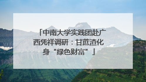中南大学实践团赴广西凭祥调研：甘蔗渣化身“绿色财富”