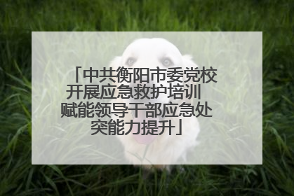 中共衡阳市委党校开展应急救护培训 赋能领导干部应急处突能力提升