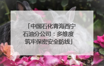 中国石化青海西宁石油分公司：多维度筑牢保密安全防线