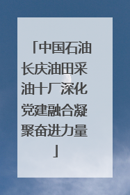 中国石油长庆油田采油十厂深化党建融合凝聚奋进力量