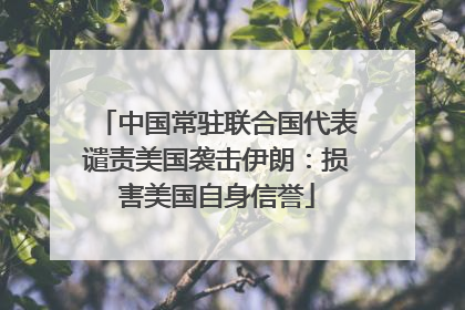 中国常驻联合国代表谴责美国袭击伊朗：损害美国自身信誉