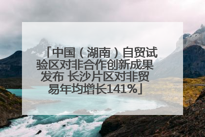 中国（湖南）自贸试验区对非合作创新成果发布 长沙片区对非贸易年均增长141%