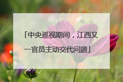 中央巡视期间，江西又一官员主动交代问题