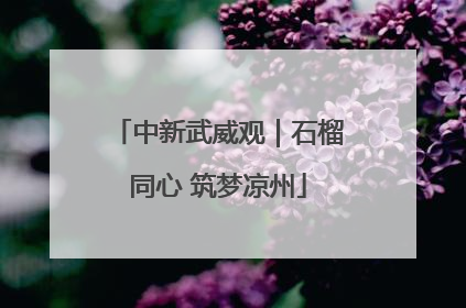 中新武威观｜石榴同心 筑梦凉州