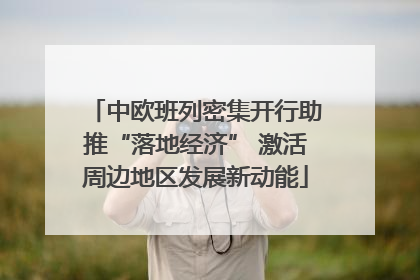 中欧班列密集开行助推“落地经济” 激活周边地区发展新动能