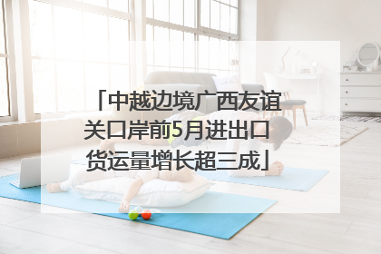 中越边境广西友谊关口岸前5月进出口货运量增长超三成