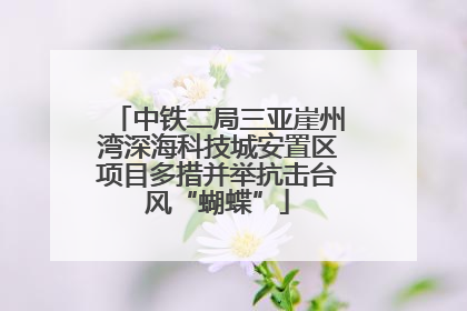 中铁二局三亚崖州湾深海科技城安置区项目多措并举抗击台风“蝴蝶”
