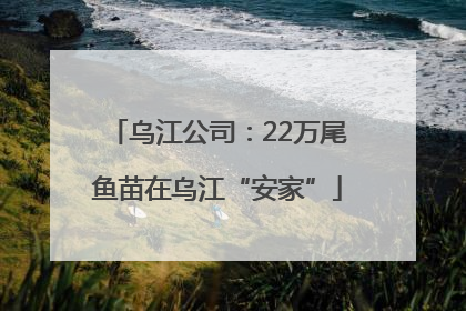 乌江公司：22万尾鱼苗在乌江“安家”