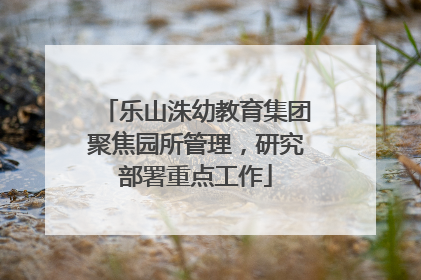 乐山洙幼教育集团聚焦园所管理，研究部署重点工作