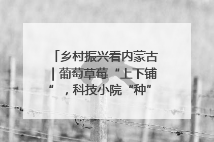 乡村振兴看内蒙古｜葡萄草莓“上下铺”，科技小院“种”出三倍效益
