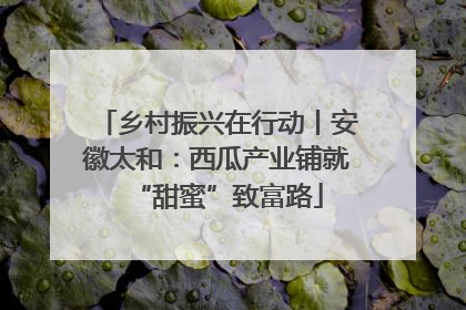 乡村振兴在行动丨安徽太和：西瓜产业铺就“甜蜜”致富路