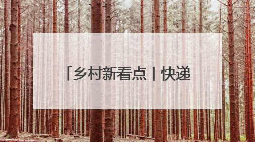 乡村新看点丨快递坐上了“飞的”