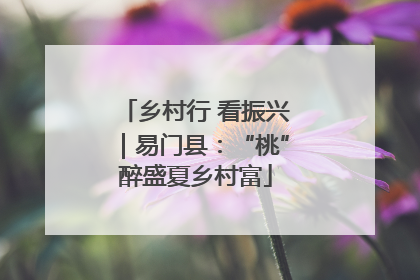 乡村行 看振兴｜易门县：“桃”醉盛夏乡村富