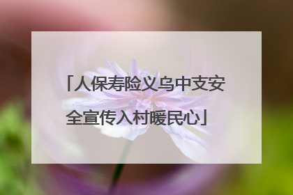人保寿险义乌中支安全宣传入村暖民心