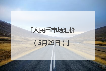 人民币市场汇价（5月29日）