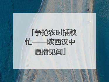 争抢农时插秧忙——陕西汉中夏播见闻