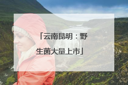 云南昆明：野生菌大量上市