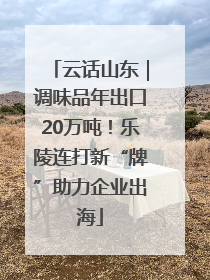 云话山东｜调味品年出口20万吨！乐陵连打新“牌”助力企业出海