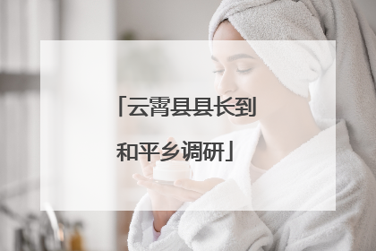 云霄县县长到和平乡调研