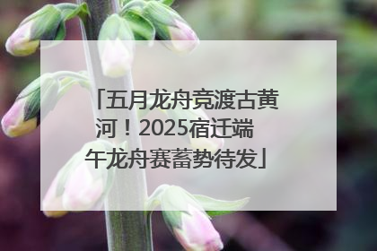五月龙舟竞渡古黄河！2025宿迁端午龙舟赛蓄势待发