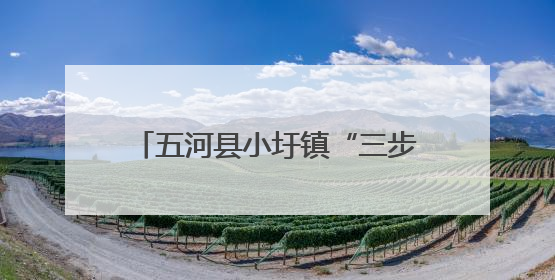 五河县小圩镇“三步走”织密农忙安全网，护航乡村平安路
