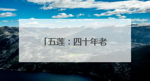 五莲：四十年老店，存在“大饼分”里的信任
