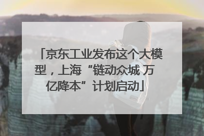 京东工业发布这个大模型，上海“链动众城 万亿降本”计划启动