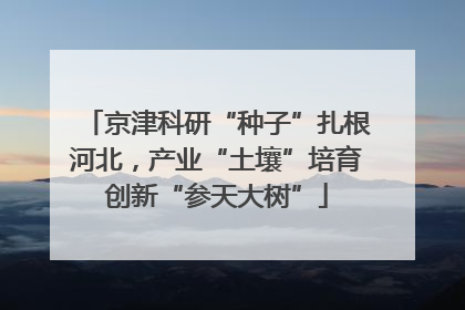京津科研“种子”扎根河北，产业“土壤”培育创新“参天大树”