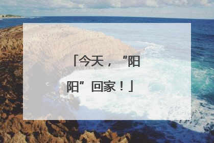 今天，“阳阳”回家！