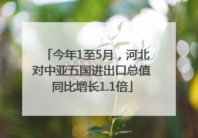 今年1至5月，河北对中亚五国进出口总值同比增长1.1倍