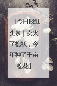 今日报纸头条｜卖火了棉袄，今年种了千亩棉花