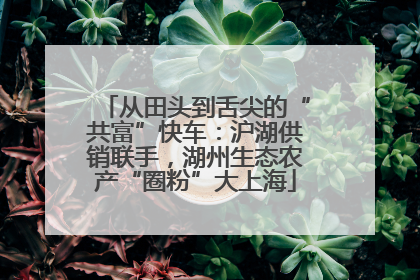 从田头到舌尖的“共富”快车：沪湖供销联手，湖州生态农产“圈粉”大上海