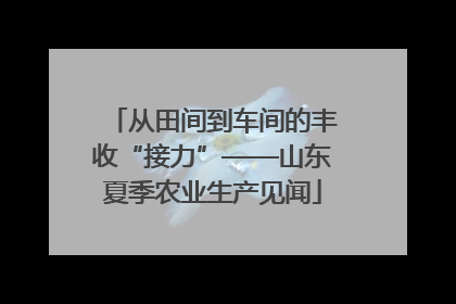 从田间到车间的丰收“接力”——山东夏季农业生产见闻
