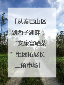 从秦巴山区到西子湖畔：“安康富硒茶”组团拓展长三角市场