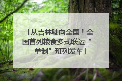 从吉林驶向全国！全国首列粮食多式联运“一单制”班列发车