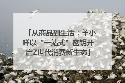 从商品到生活：羊小咩以“一站式”密钥开启Z世代消费新生态