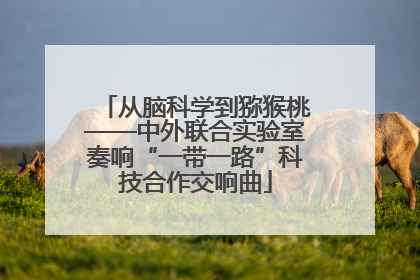 从脑科学到猕猴桃——中外联合实验室奏响“一带一路”科技合作交响曲
