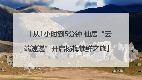 从1小时到5分钟 仙居“云端速递”开启杨梅锁鲜之旅