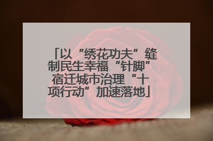 以“绣花功夫”缝制民生幸福“针脚” 宿迁城市治理“十项行动”加速落地