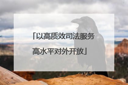 以高质效司法服务高水平对外开放