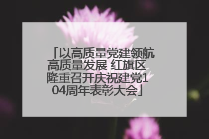 以高质量党建领航高质量发展 红旗区隆重召开庆祝建党104周年表彰大会